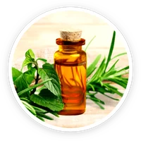 Tea tree oil, one of the eight ingredients in Kerassentials